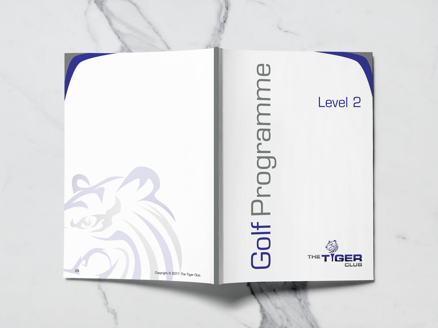 Level 2