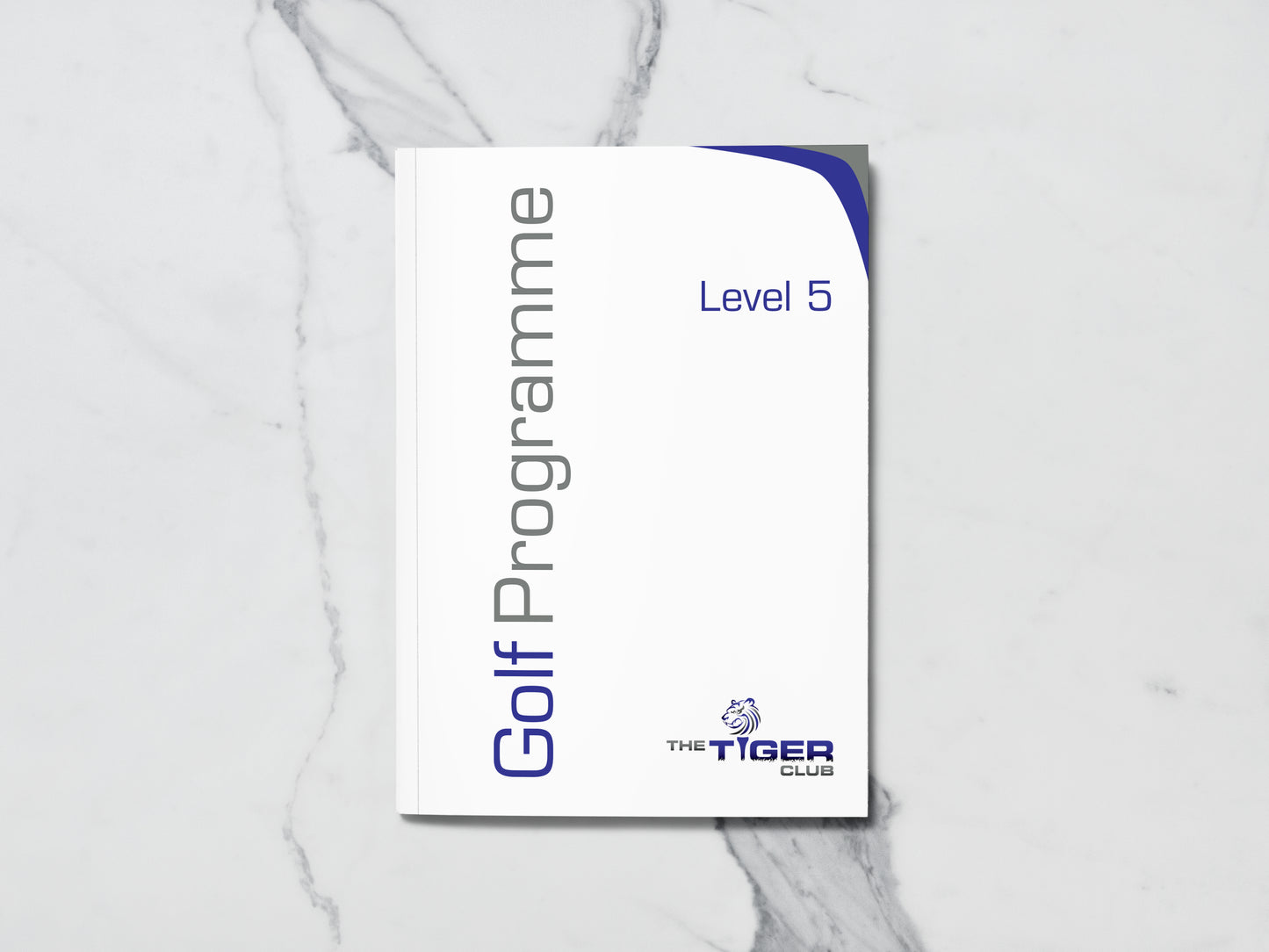 Level 5