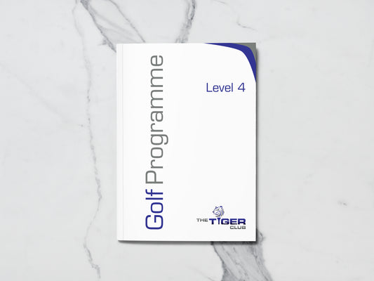 Level 4